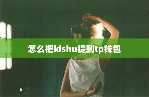 怎么把kishu提到tp钱包