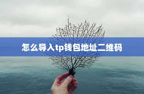 怎么导入tp钱包地址二维码
