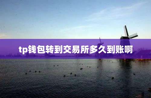 tp钱包转到交易所多久到账啊