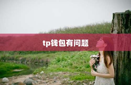 tp钱包有问题