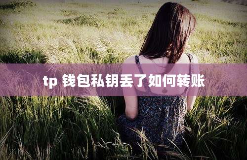 tp 钱包私钥丢了如何转账