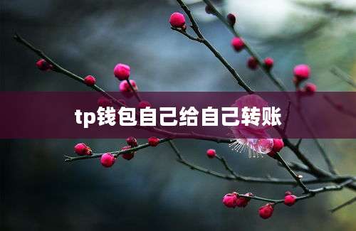 tp钱包自己给自己转账