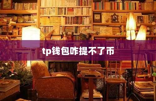 tp钱包咋提不了币