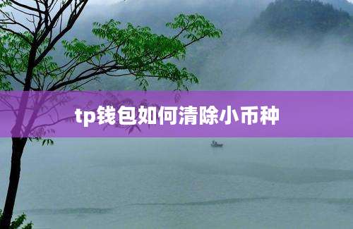 tp钱包如何清除小币种