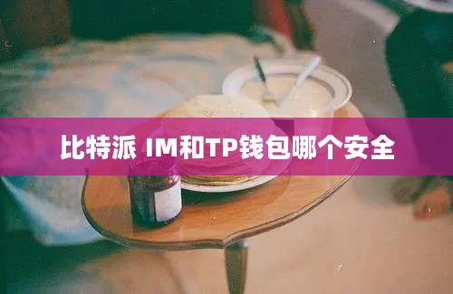 比特派 IM和TP钱包哪个安全