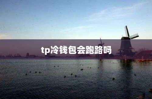 tp冷钱包会跑路吗