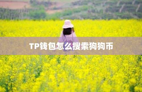 TP钱包怎么搜索狗狗币