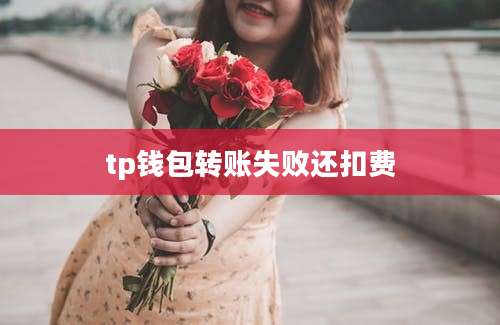 tp钱包转账失败还扣费