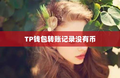 TP钱包转账记录没有币