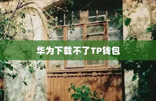 华为下载不了TP钱包
