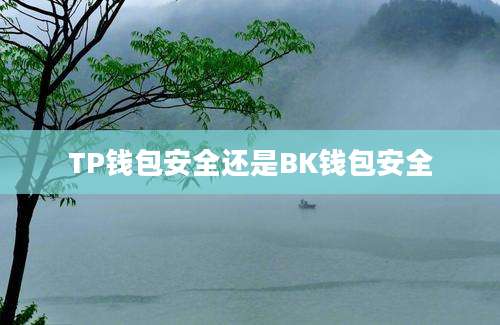 TP钱包安全还是BK钱包安全