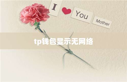 tp钱包显示无网络