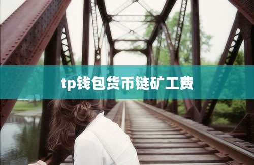 tp钱包货币链矿工费