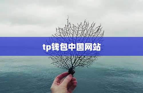 tp钱包中国网站