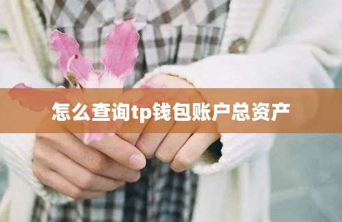 怎么查询tp钱包账户总资产