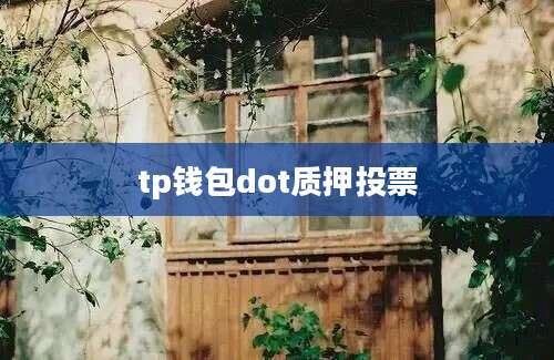 tp钱包dot质押投票