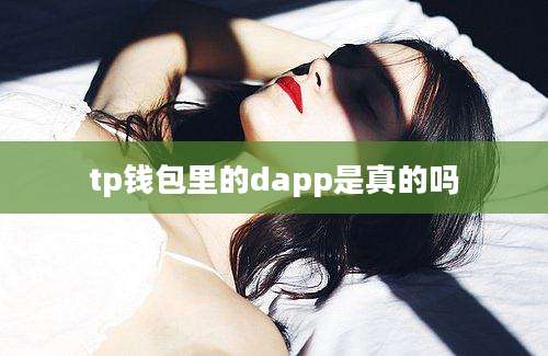 tp钱包里的dapp是真的吗