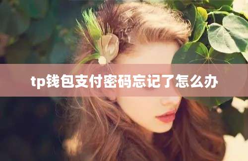 tp钱包支付密码忘记了怎么办