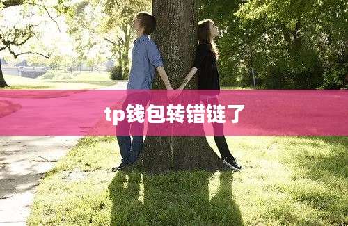 tp钱包转错链了