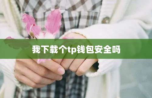 我下载个tp钱包安全吗