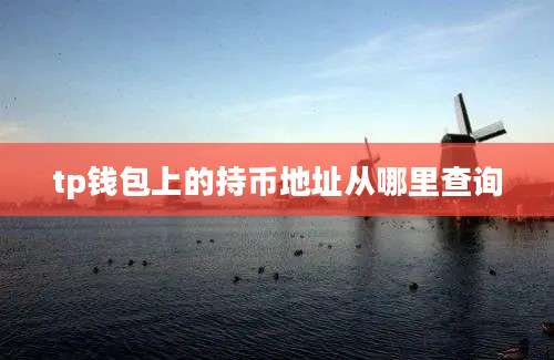tp钱包上的持币地址从哪里查询