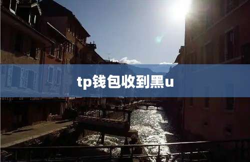 tp钱包收到黑u