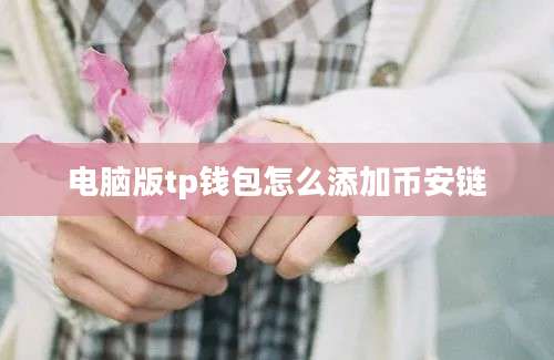 电脑版tp钱包怎么添加币安链