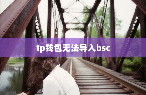 tp钱包无法导入bsc