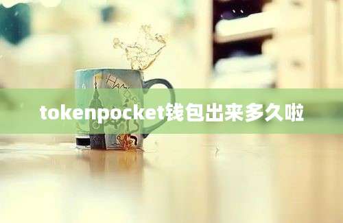 tokenpocket钱包出来多久啦