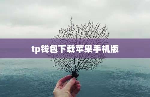 tp钱包下载苹果手机版