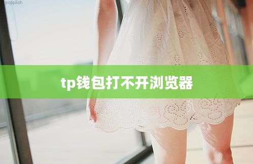 tp钱包打不开浏览器