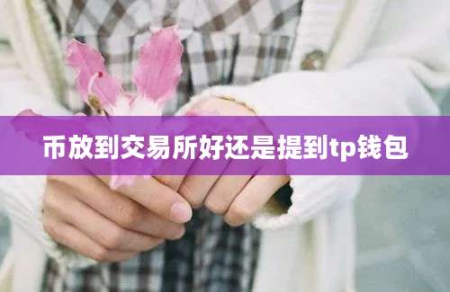 币放到交易所好还是提到tp钱包