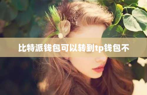 比特派钱包可以转到tp钱包不