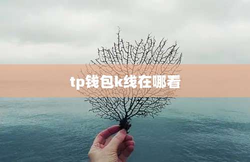 tp钱包k线在哪看