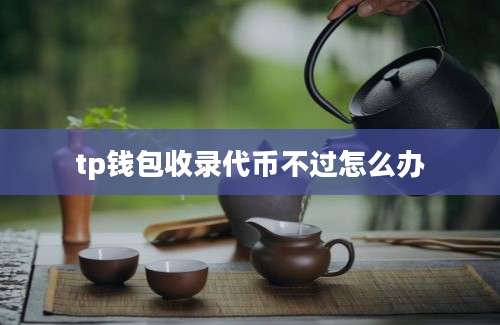 tp钱包收录代币不过怎么办
