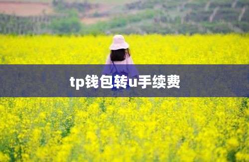 tp钱包转u手续费