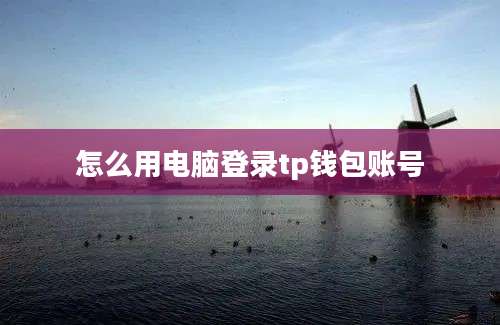 怎么用电脑登录tp钱包账号