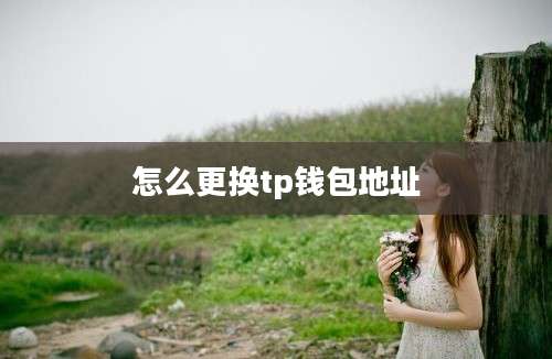 怎么更换tp钱包地址