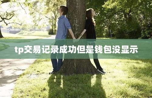 tp交易记录成功但是钱包没显示