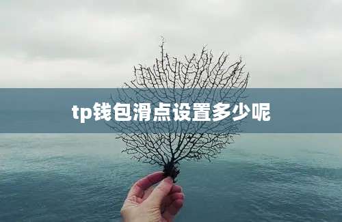 tp钱包滑点设置多少呢