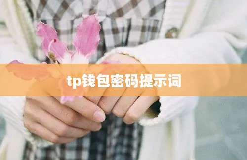 tp钱包密码提示词