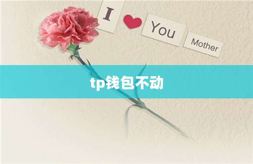 tp钱包不动