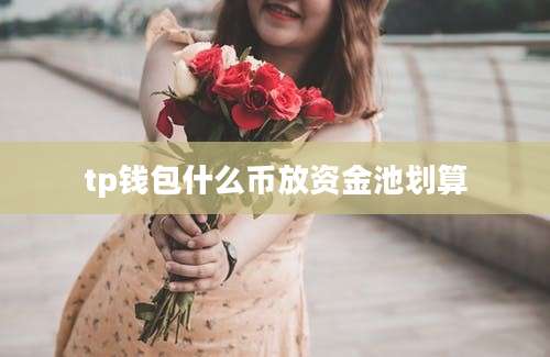 tp钱包什么币放资金池划算