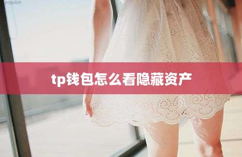 tp钱包怎么看隐藏资产