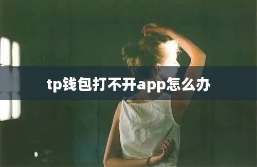 tp钱包打不开app怎么办