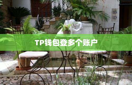 TP钱包登多个账户
