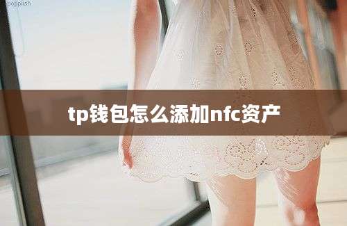 tp钱包怎么添加nfc资产