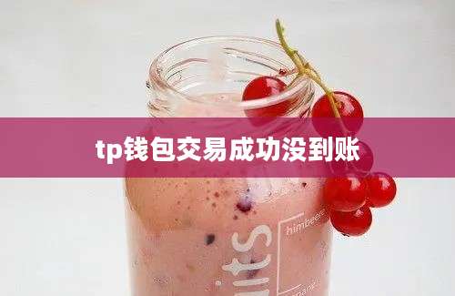 tp钱包交易成功没到账