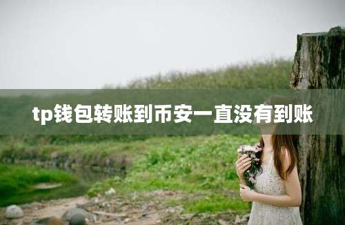 tp钱包转账到币安一直没有到账