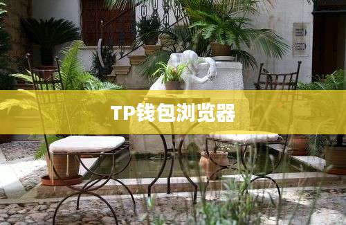 TP钱包浏览器